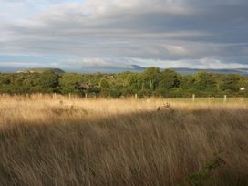 Plas Newydd Flower Farm - Anglesey - 1167551 - thumbnail photo 9