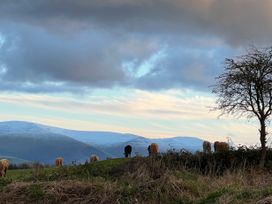 Plas Newydd Flower Farm - Anglesey - 1167551 - thumbnail photo 10