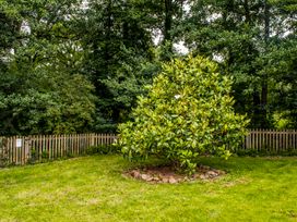 A tree surrounded by stones on grass with a wooden fence and dense trees in the background at Mill Cottage in Aylesbeare