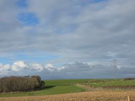 A landscape with cows grazing in a field and a power line near Wigton