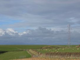 A field with sheep and an electricity pylon at Daisy Cottage near Wigton