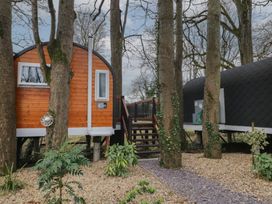 A wooden pod and a black pod connected by wooden steps among trees at Elm in Dungiven Londonderry