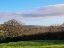 A grassy field with leafless trees and bushes under a blue sky at Hillview in Stottesdon near Cleobury Mortimer