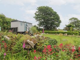 Teg - Cornwall - 1167741 - thumbnail photo 3