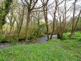 The Bothy - Cornwall - 1167878 - thumbnail photo 30
