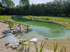 An outdoor natural swimming pond with steps and wooden handrail surrounded by plants and trees at Hazel in South Leigh near Witney