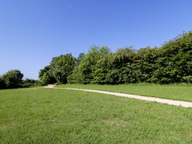 A grassy field with a narrow gravel path leading towards a row of trees and bushes under a clear blue sky at Spindle in South Leigh near Witney