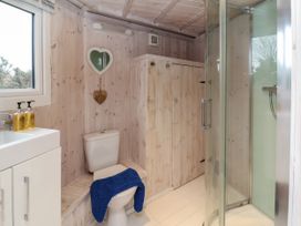 A bathroom with a toilet a shower a sink with soap dispensers and wooden walls at Blackpool Mill near Hartland