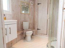 A bathroom with a toilet a cabinet with a soap dispenser a mirror and a shower enclosure at Duck Pool near Hartland
