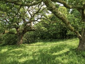 A large tree with a ladder and swing in a grassy area at Plas Pontfaen near Fishguard and Newport, Pembrokeshire