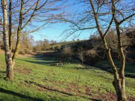 A grassy field with leafless trees and tree stumps under a clear blue sky at The Sanctuary in Badgers Retreat Holiday Park near Catterick Garrison North Yorkshire