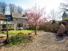 A garden with a cherry tree and swing at The Old Coach House in Eglingham near Alnwick