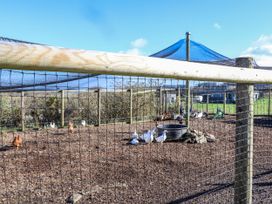 Petroc - Cornwall - 1168516 - thumbnail photo 43