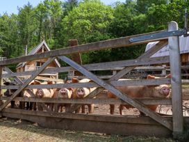 Pucklechurch - Devon - 1168609 - thumbnail photo 46