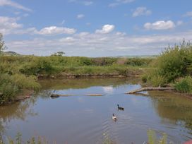 A pond with two ducks swimming surrounded by bushes and grass at Yeabridge Farm in Mosterton near Beaminster