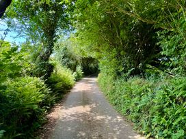 A path surrounded by trees and ferns at The Hayloft in Lostwithiel
