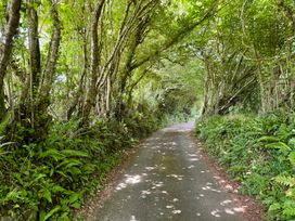A pathway surrounded by trees and ferns at The Hayloft in Lostwithiel