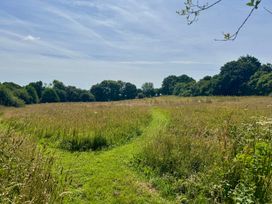 A grassy field with a path leading through at The Hayloft in Lostwithiel