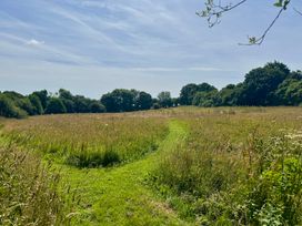 A field with a path leading through grass and trees at The Mill in Lostwithiel
