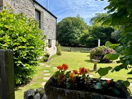 A garden with flowers and a pathway at The Mill in Lostwithiel