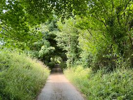 A pathway surrounded by trees and grass at The Mill in Lostwithiel