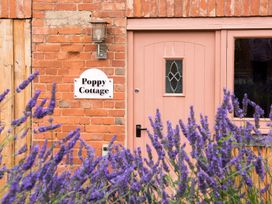A pink door with a decorative glass pane and a sign reading Poppy Cottage on a brick wall with purple flowers in front at Poppy Cottage in Aylesbeare