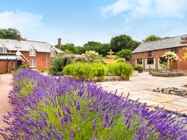 A garden with lavender plants a water fountain and brick buildings at Poppy Cottage in Aylesbeare