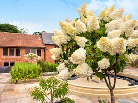 A garden area with a flowering tree and brick house in the background at Poppy Cottage in Aylesbeare