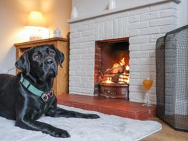 A black dog lying on a carpet in front of a lit fireplace with a side table and lamp in the background at Fern Cottage in North Dalton near Great Driffield