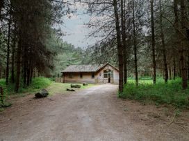 A dirt path leading to a wooden cabin surrounded by trees at Rowan Lodge in Rosliston