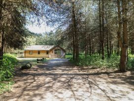 A dirt path leading to a wooden cabin surrounded by trees at Rowan Lodge in Rosliston