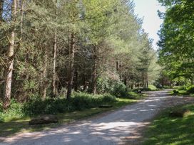 A gravel path through a forested area with trees and bushes at Rowan Lodge in Rosliston