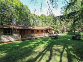 A wooden lodge with a porch and picnic tables on a lawn surrounded by trees at Chestnut Lodge in Rosliston