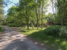 A gravel road surrounded by trees leading to a wooden lodge in a forest at Chestnut Lodge in Rosliston