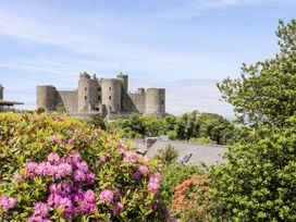 A stone castle with round towers behind flowering bushes and trees at Bryn Awelon in Harlech