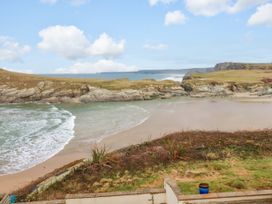 Driftwood - Cornwall - 1168839 - thumbnail photo 29