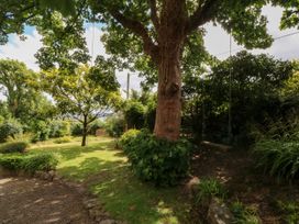 A garden with a tree and a swing at Tyddyn Iolyn in Benllech