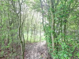 A forest path surrounded by trees with green leaves at Brandon House Farm Yurt Brandon Parva near Mattishall