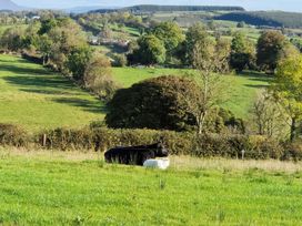 The Farmstead - County Sligo - 1169085 - thumbnail photo 37