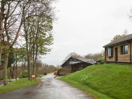 A road with trees on the left and log cabins on the right at Cove View in Ilfracombe