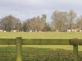 A grassy field with sheep grazing and trees in the background at Holm Oaks Cottage in Busbridge near Godalming
