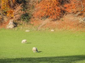 Cartref - North Wales - 1169306 - thumbnail photo 30