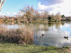 A lake with ducks and reeds with trees and wooden cabins in the background at Stones Throw in Marston near Barkston