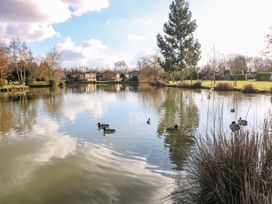 A pond with ducks swimming near reeds and houses in the background at Stones Throw in Marston near Barkston