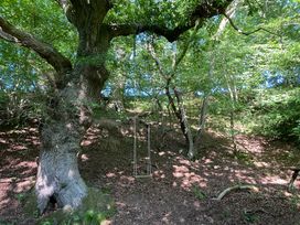 White Lodge Cottage - North Yorkshire (incl. Whitby) - 1169394 - thumbnail photo 25