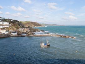 Oystercatcher - Cornwall - 1169425 - thumbnail photo 64