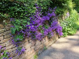 A stone wall covered in purple flowers and greenery at Court House Cottage Gatcombe near Blakeney