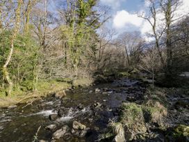 A river flowing through a rocky forested area with trees and undergrowth at Glandwr Cottage Llanbedr