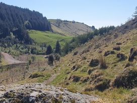 A landscape with grassy hills trees and a dirt path under a clear sky