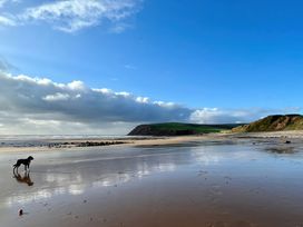 A beach with a dog standing on wet sand near a ball with cliffs and green hills in the background at Flat 6 Aikbank in Whitehaven